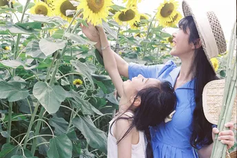 一个男人和一个女人抱着一个年轻的女孩站在向日葵花田中