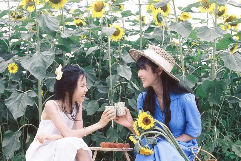 一些年轻女子坐在向日葵田前的一张长凳上 一个年轻女孩坐在桌子旁。