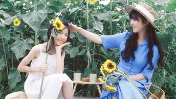 一些穿着蓝色连衣裙和帽子的年轻女士在向日葵田里摆姿势 周围有向日葵和向日葵花盘。