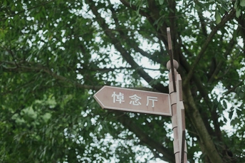 街道标志特写 背景中有树木