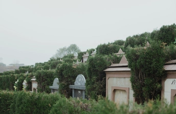 山顶上的墓地 背景中有树木。