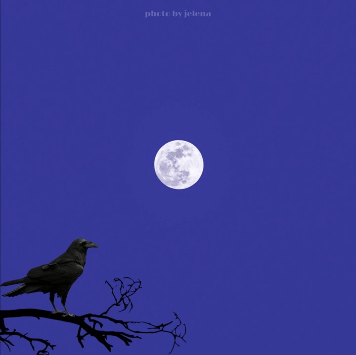 夜月蓝