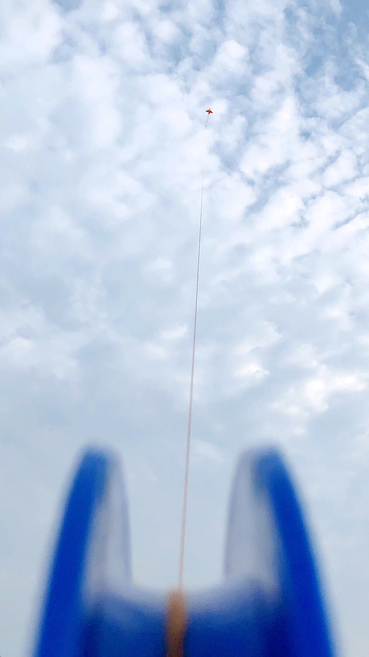 Fly in the sky