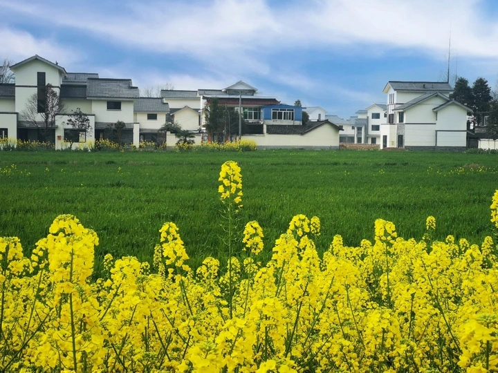 新农村