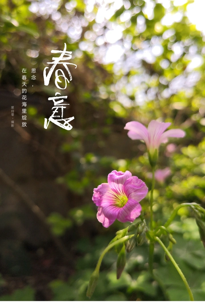 春意