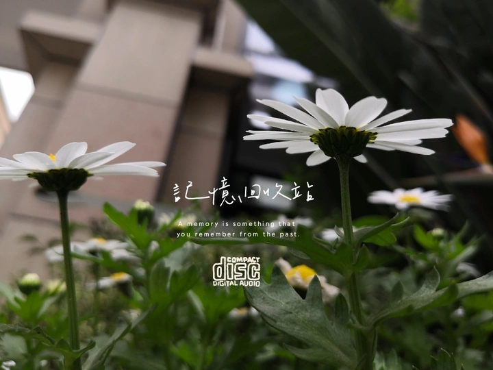 记忆