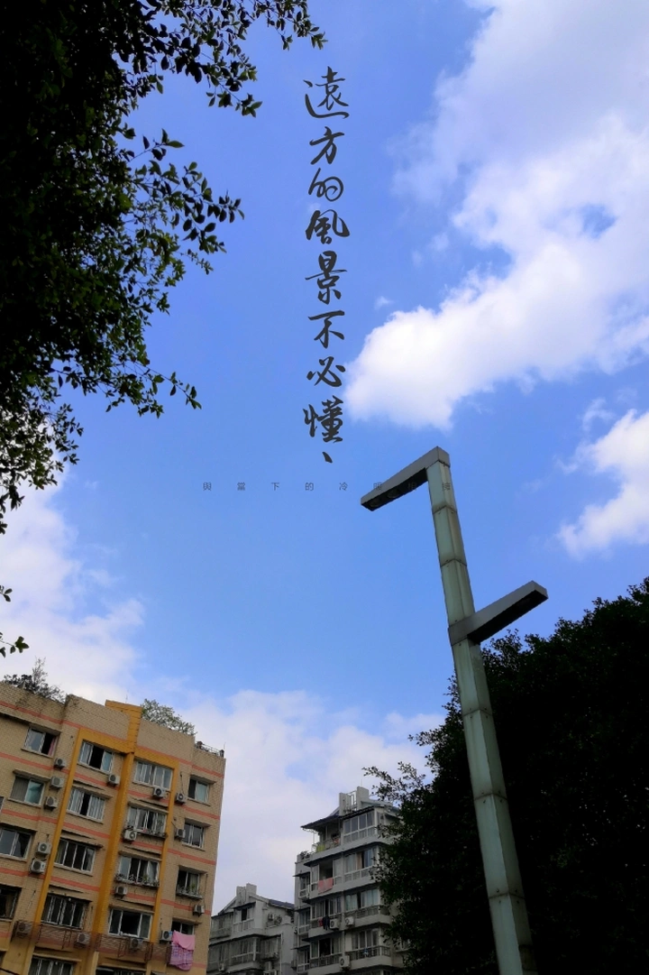 城市里的风景
