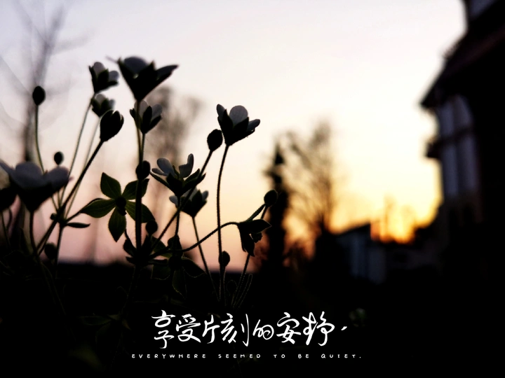落日余晖
