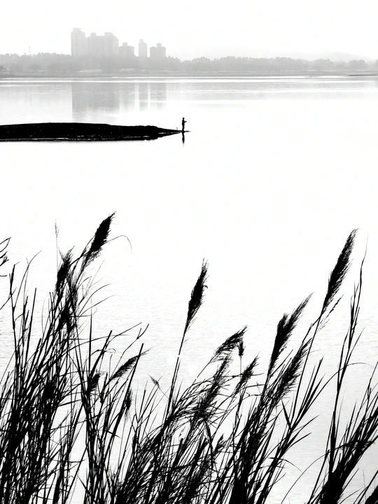 黑白人站在一艘船中 周围是水草丛生的水域 远处是城市。