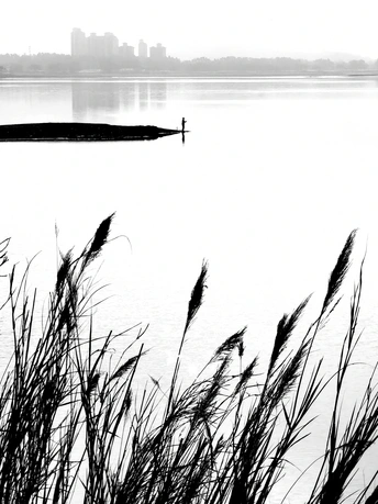 黑白人站在一艘船中 周围是水草丛生的水域 远处是城市。