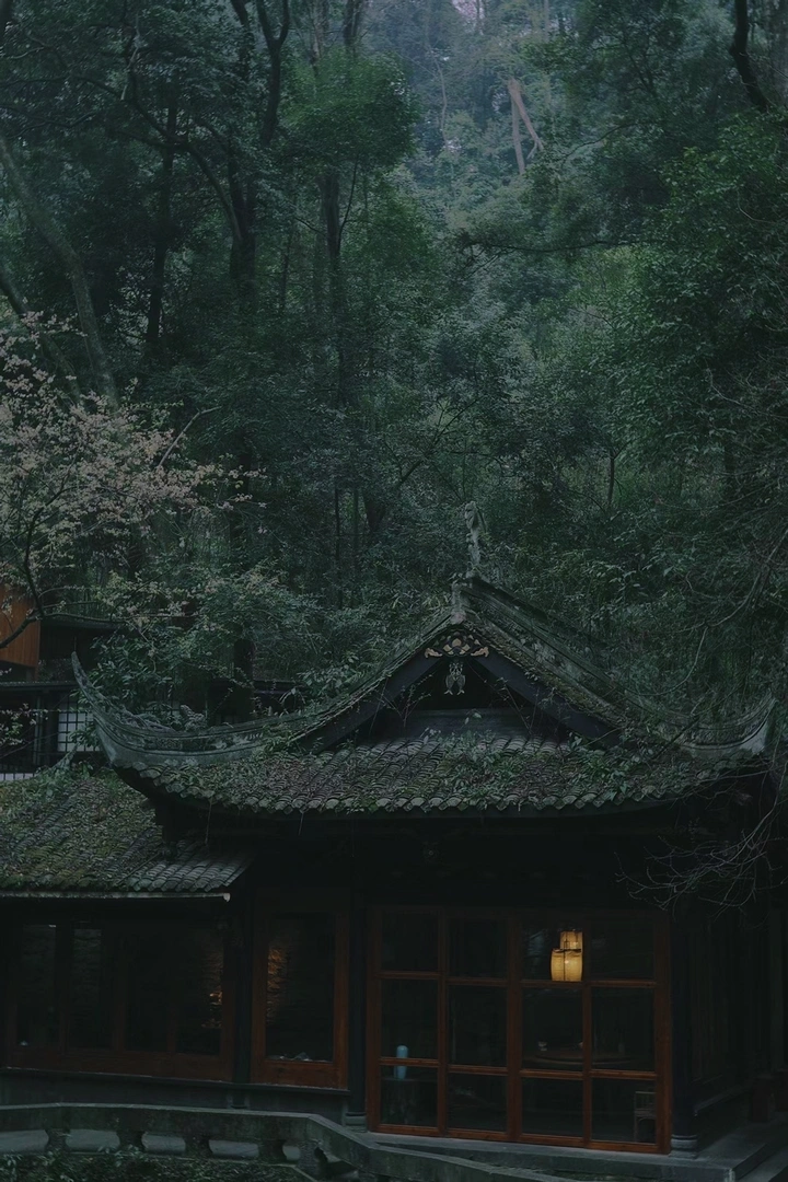 山里住着老神仙