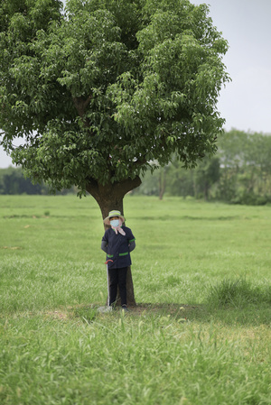 一个小男孩站在一棵大树的阴影下 在一个绿色的草地上。