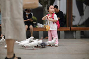 一个小女孩正在喂一群白鸽子 而一个年轻男孩在人行道上走过来。
