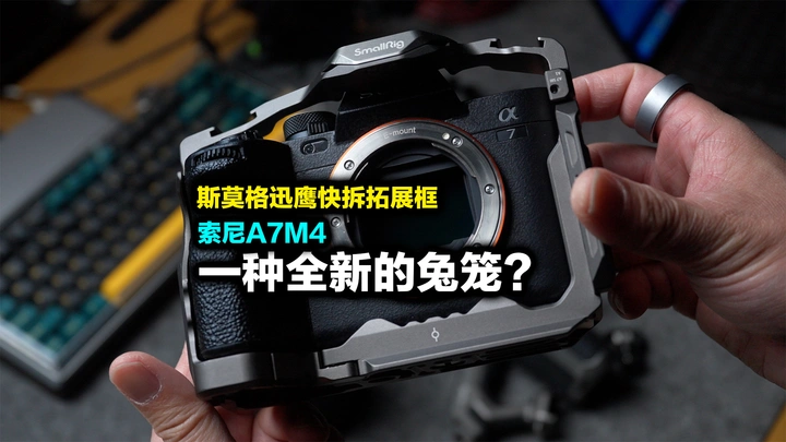 这是否会成为斯莫格生态的最后一块拼图？斯莫格迅鹰快拆兔笼