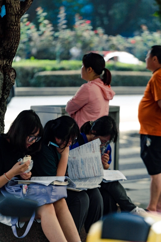 年轻人坐在公园的树下看报纸 一个女孩看书