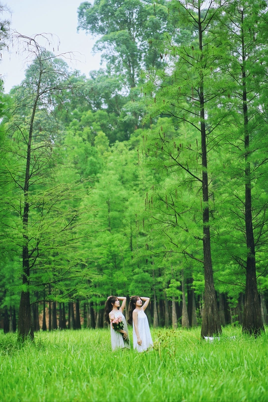一对身着白色衣服的妇女站在绿树成荫的田野里