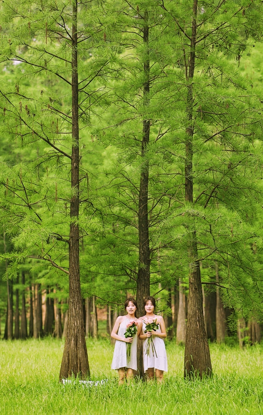 一对身穿白色衣服的年轻女子站在绿树成荫的树林里