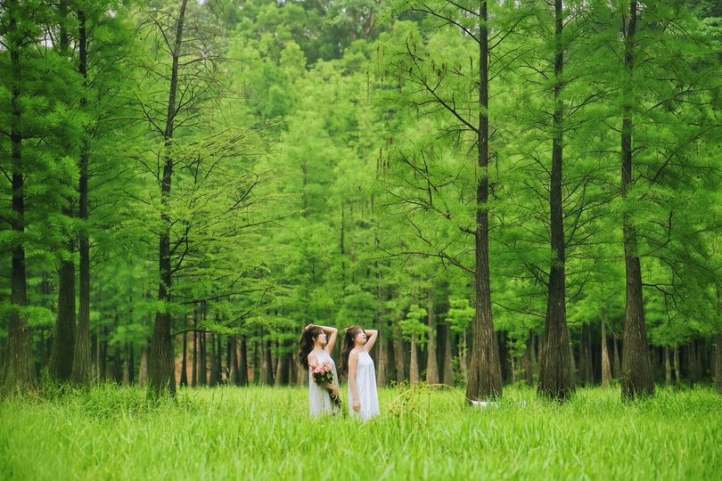 一对年轻夫妇在绿树成荫的田野里手牵着手穿过树林的照片