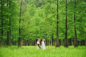 一对年轻夫妇在绿树成荫的田野里手牵着手穿过树林的照片