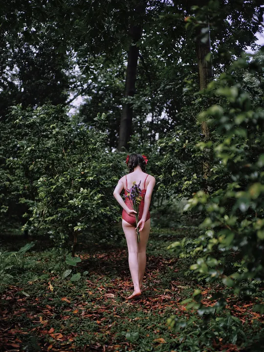 一个人站在森林里的树林里