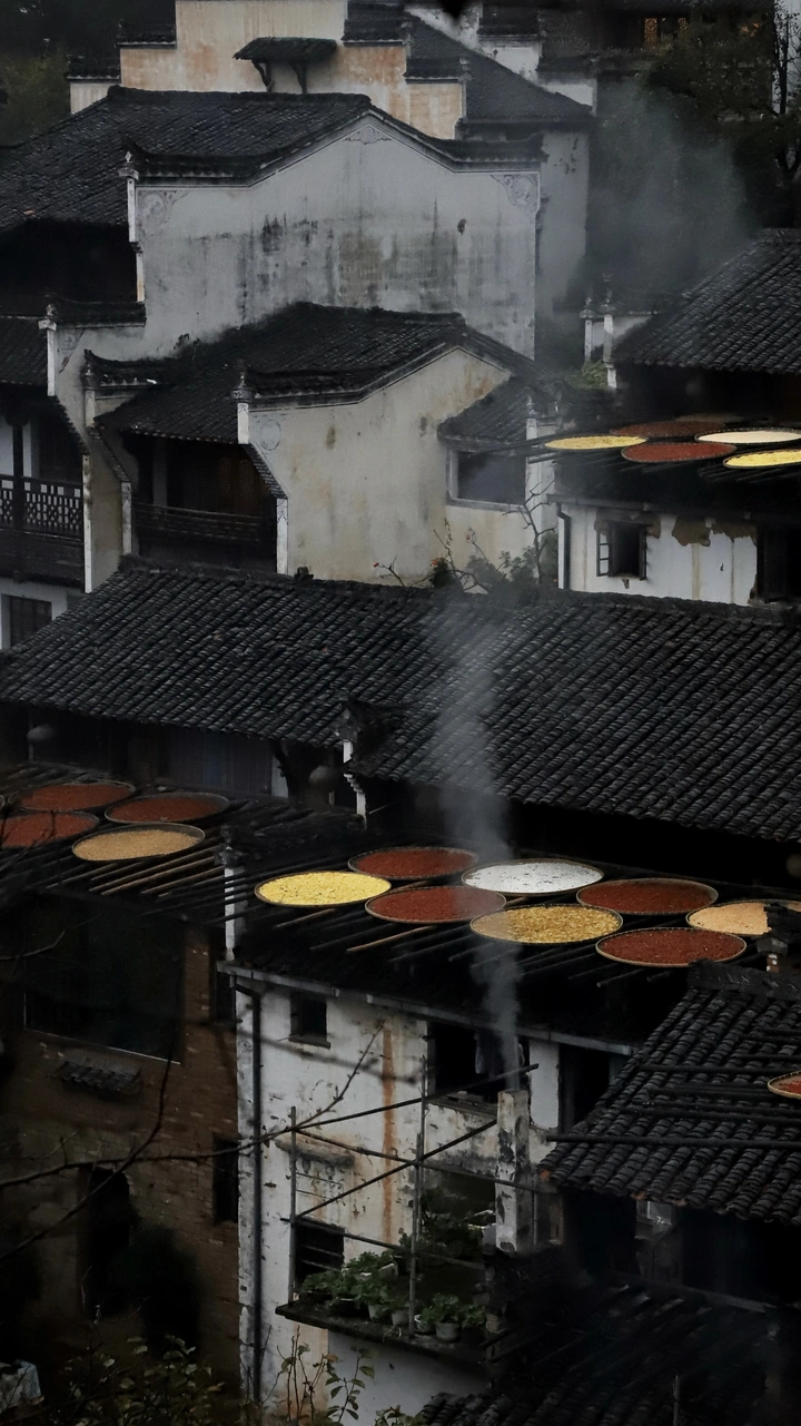 雨中晒秋