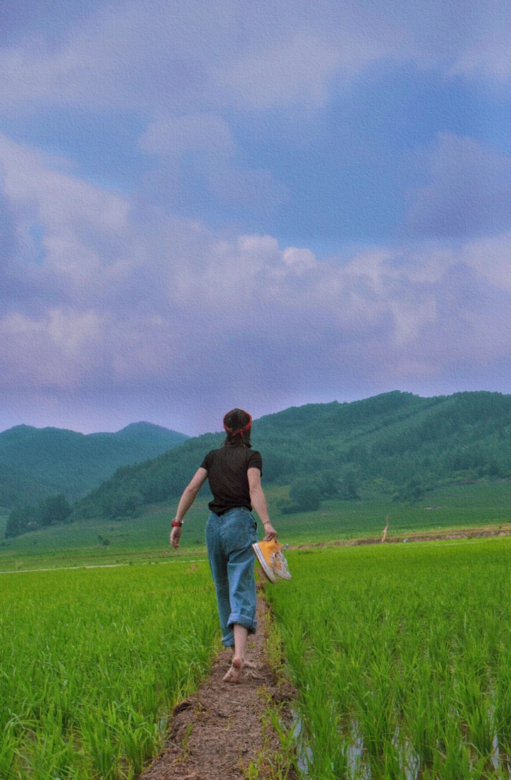 田野