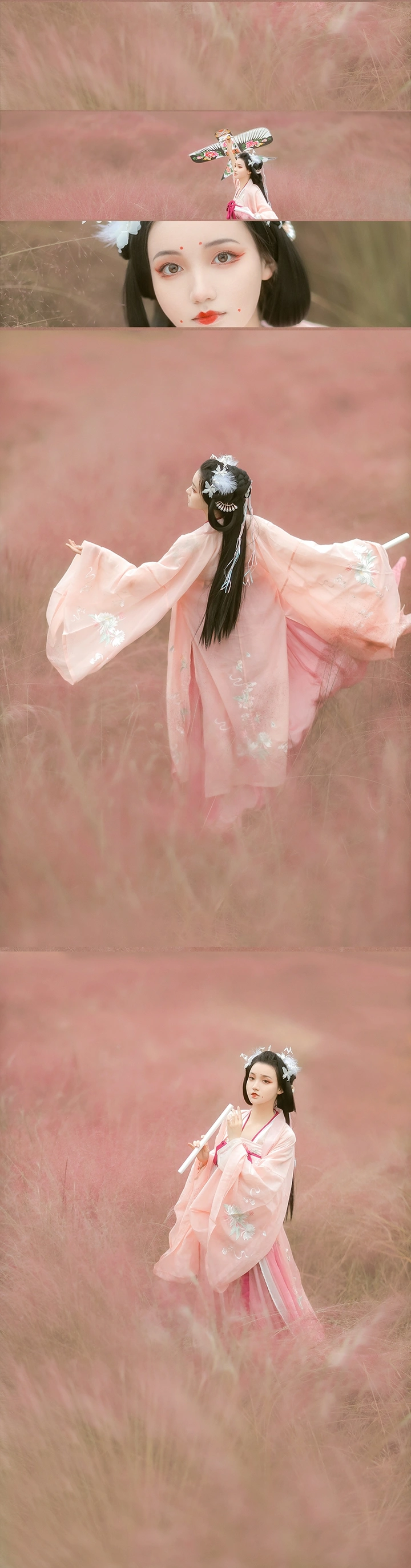 粉黛草