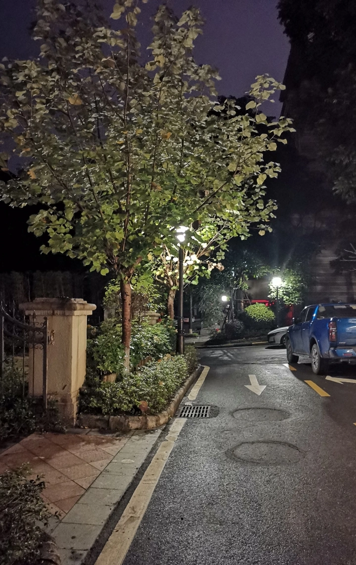春雨过后的空气清新