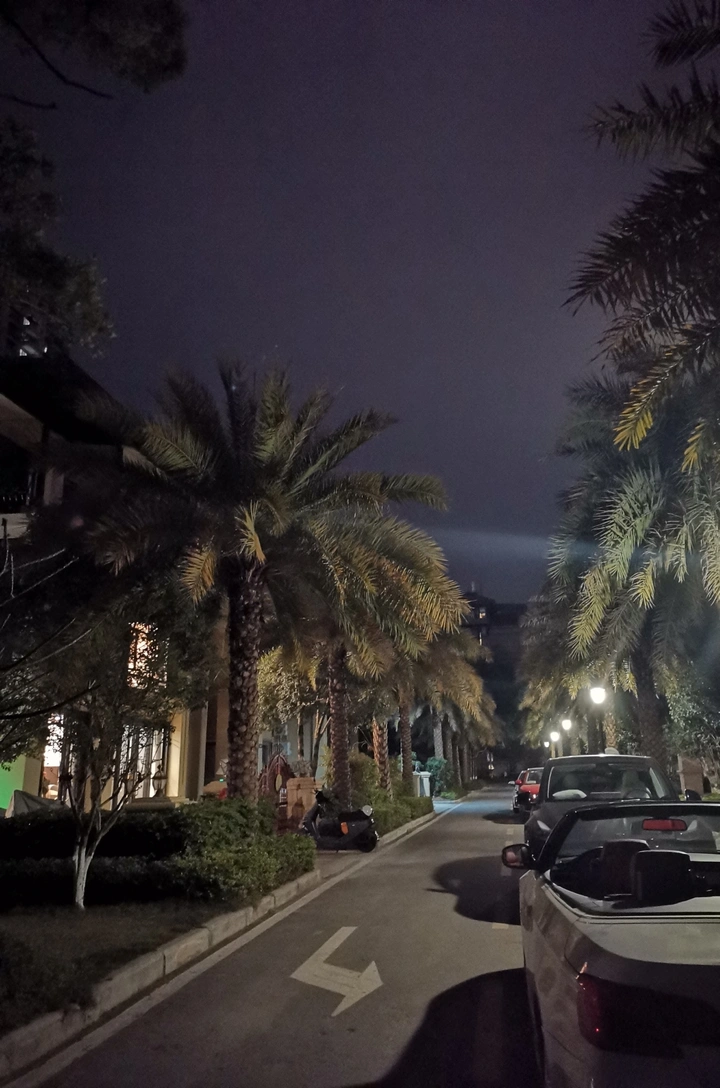 春日夜晚