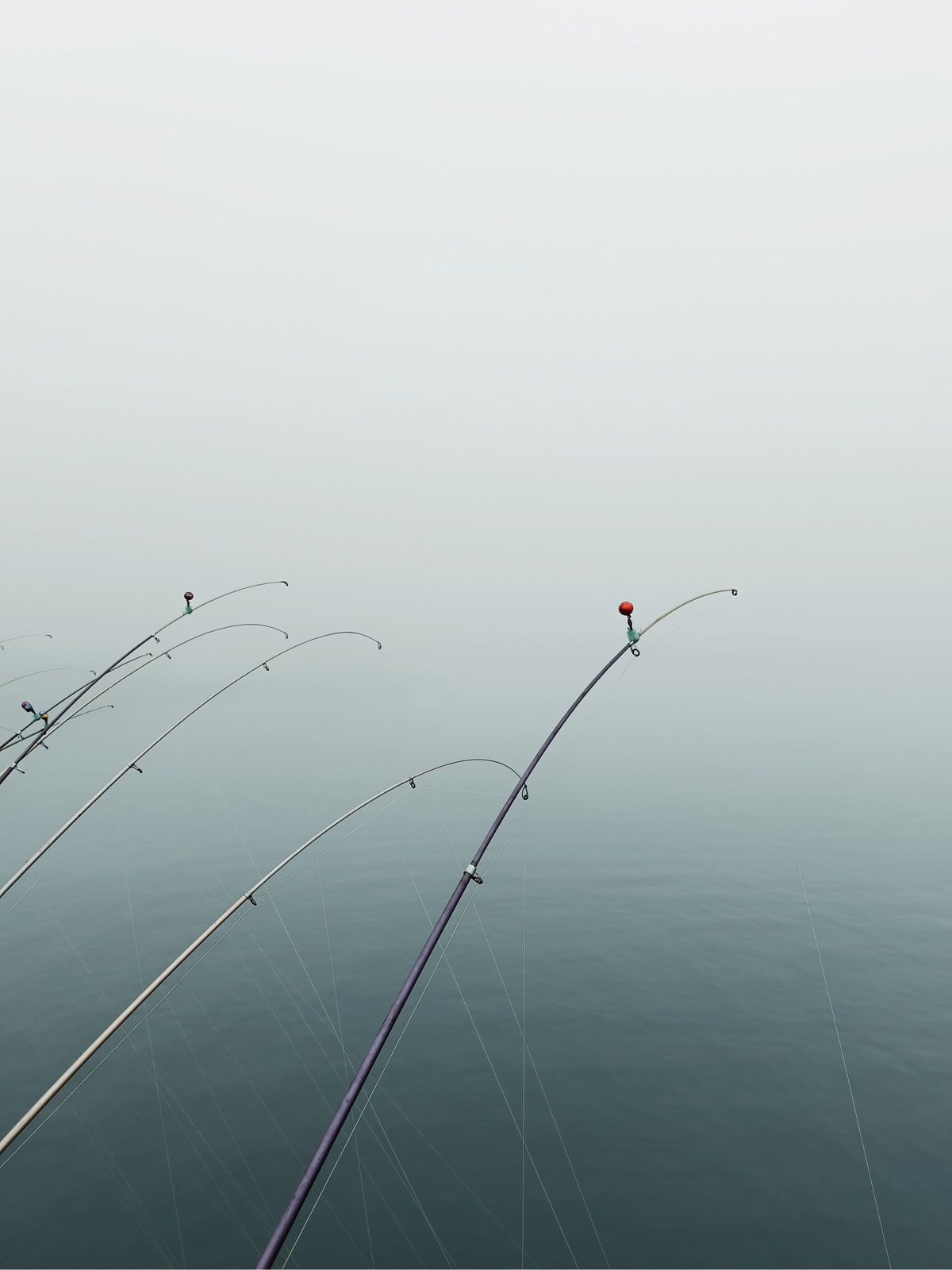 在雾天水中钓鱼杆