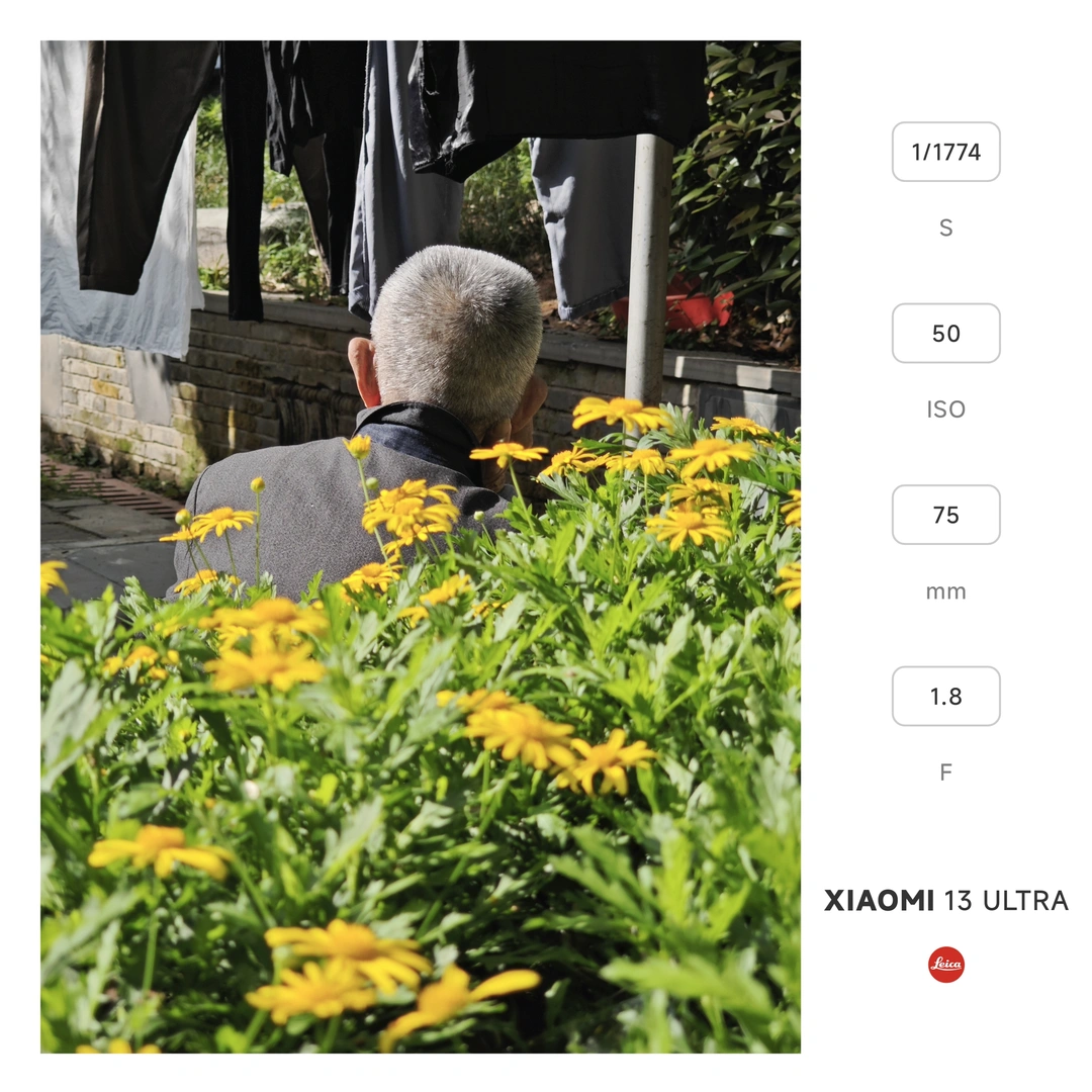 一个在黄花丛中的男人