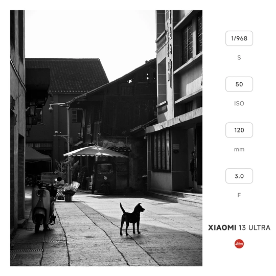 一张黑白照片 街上有人走动 一只猫在椅子上。