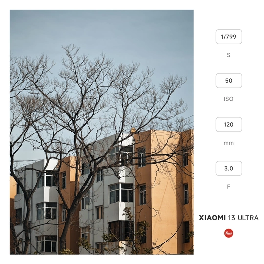 建筑物的截图 前方有棵树