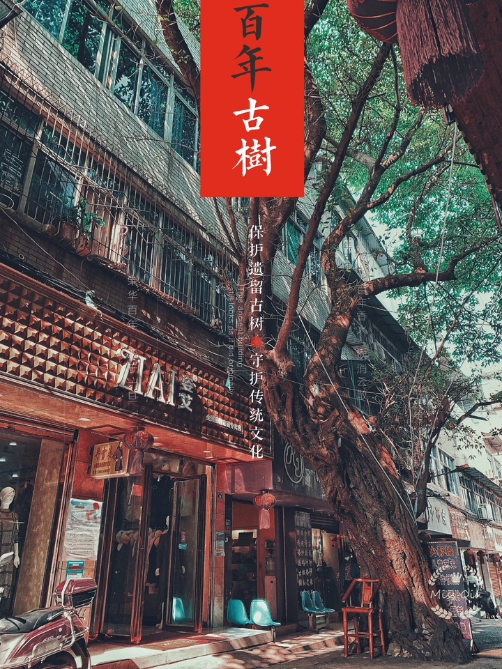 复苏的小镇🌿🌱