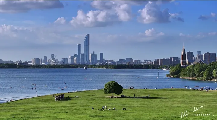 「夏日」一棵树下的“独墅海”