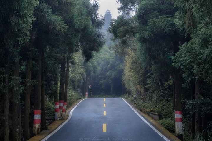 The road.