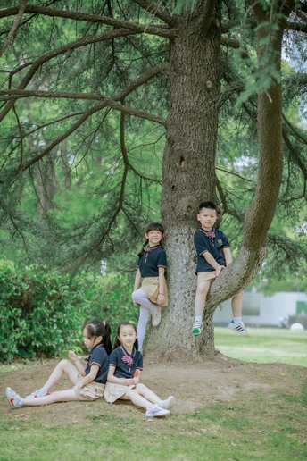 年轻的男孩和女孩坐在公园的树上爬上一棵树