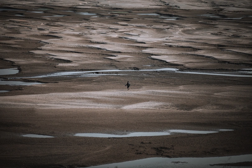 一个人站在海滩上 周围是水和沙子 一只鸟在穿越风景如画的地景。