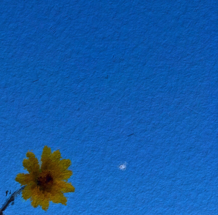 星星把黑夜