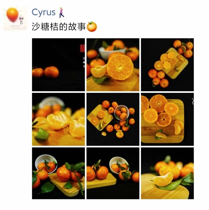 拍几只橘子康康🍊