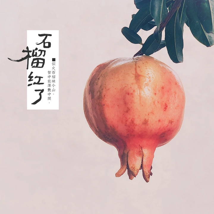 石榴红了
