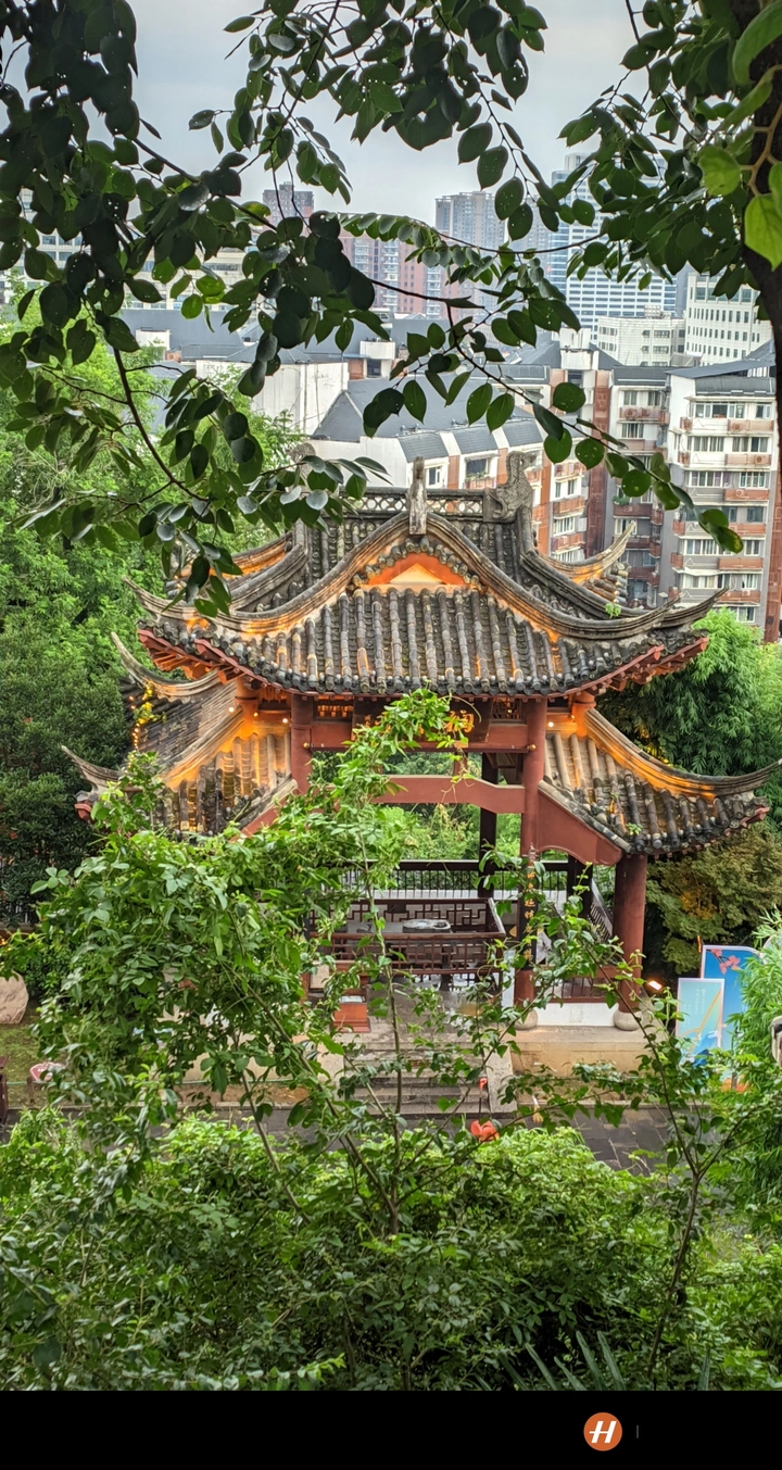 黄鹤楼公园即景