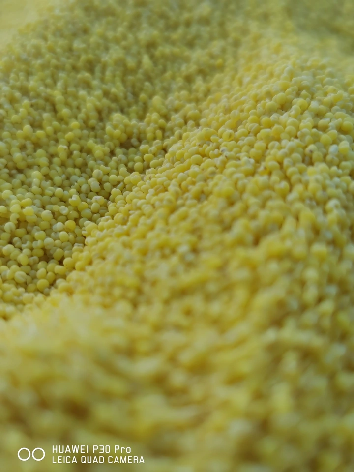 粟.禾.米