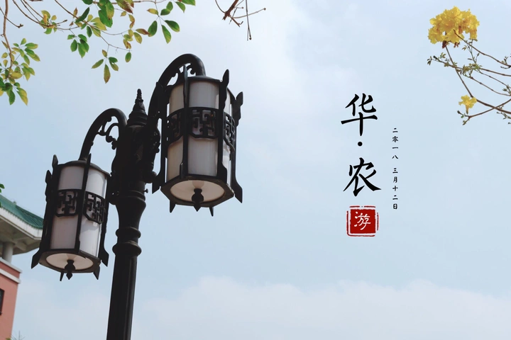 华农