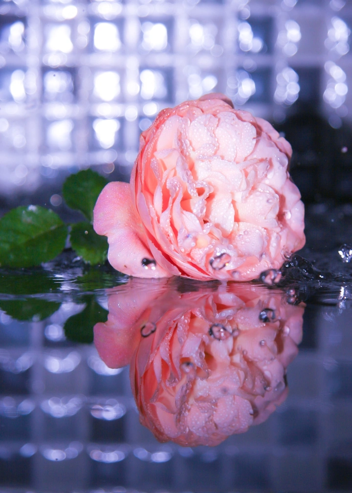 水中倒影