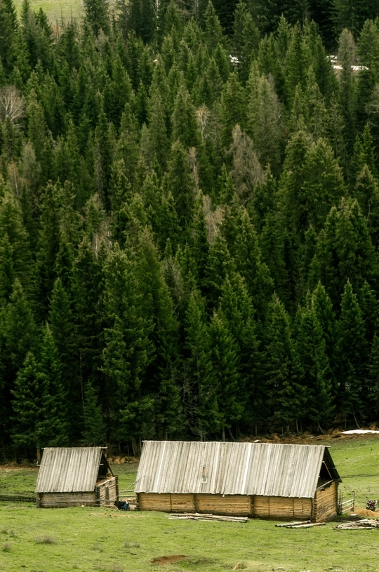 古老的木屋或位于绿草地上带有树木和山脉背景的草屋 前景为一匹马。