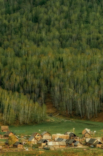 一个小村庄 位于山区 有绿油油的田地和树木。