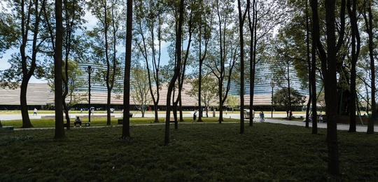 建筑前面的公园有树木和草坪