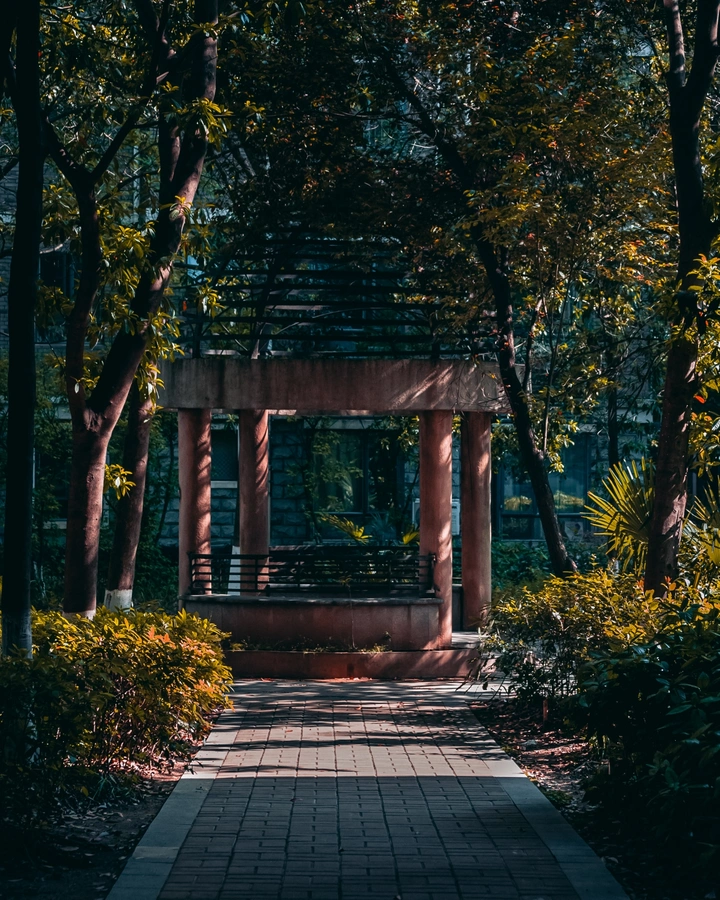 小区随拍