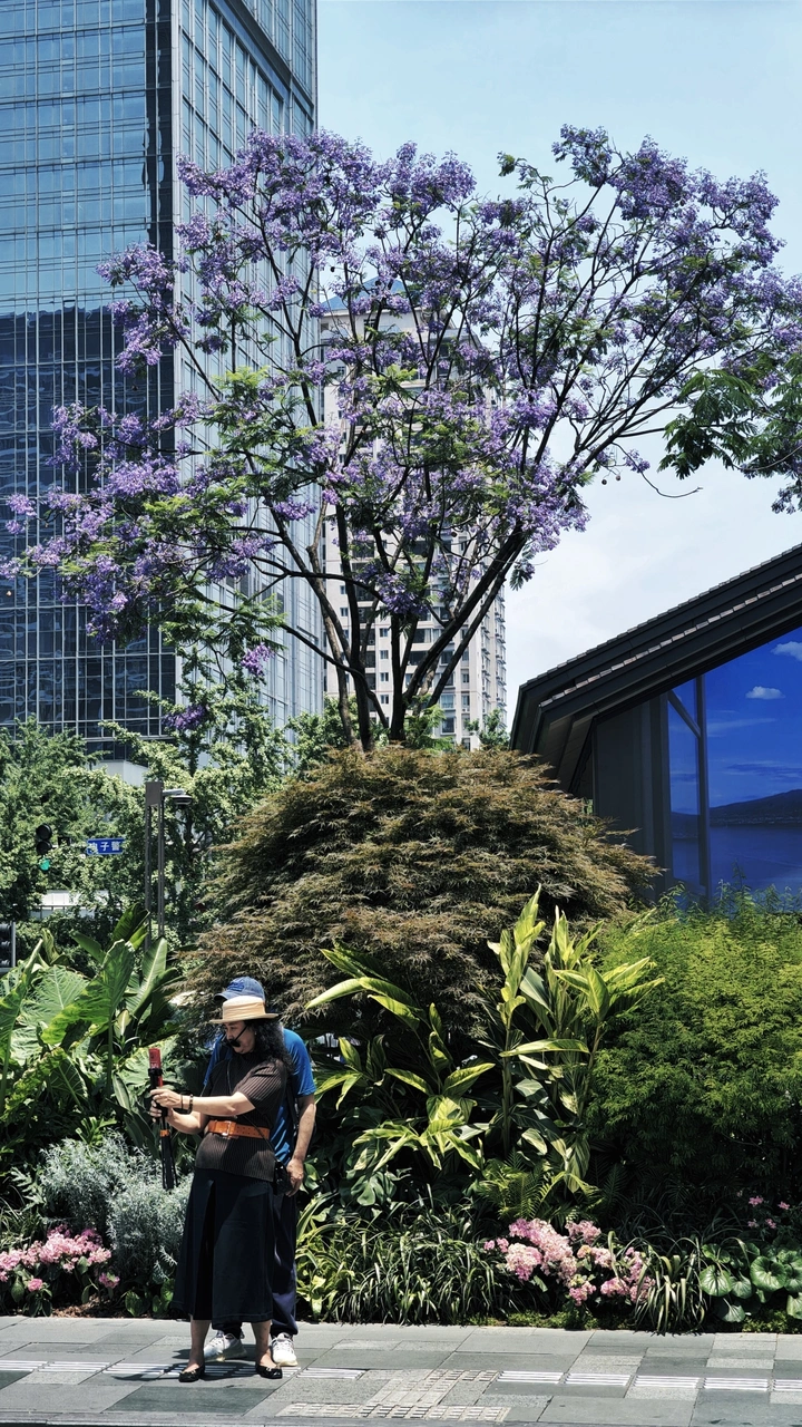 与花同框